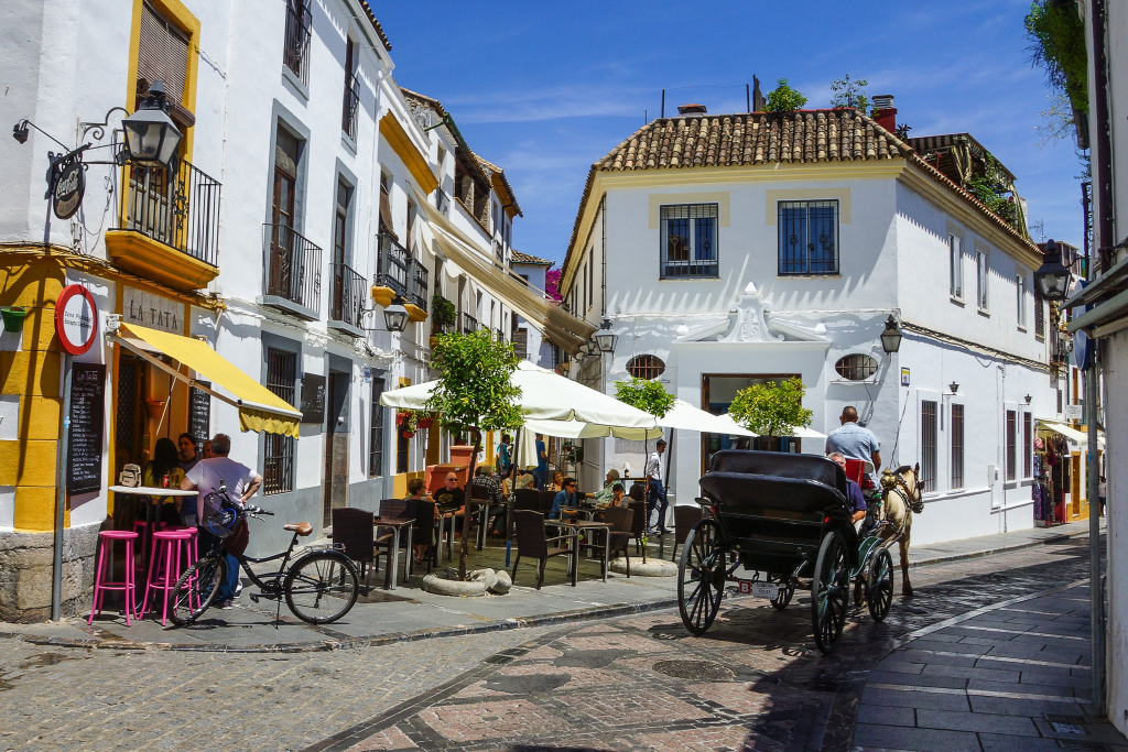Gastronomía Andaluza la Villa de Sevilla